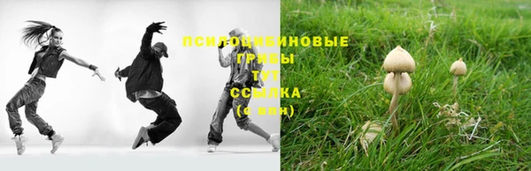 соль ск Абдулино