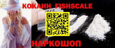 прущие крисы Камышлов