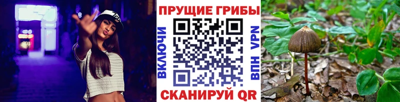 Галлюциногенные грибы Magic Shrooms как найти закладки Нефтеюганск