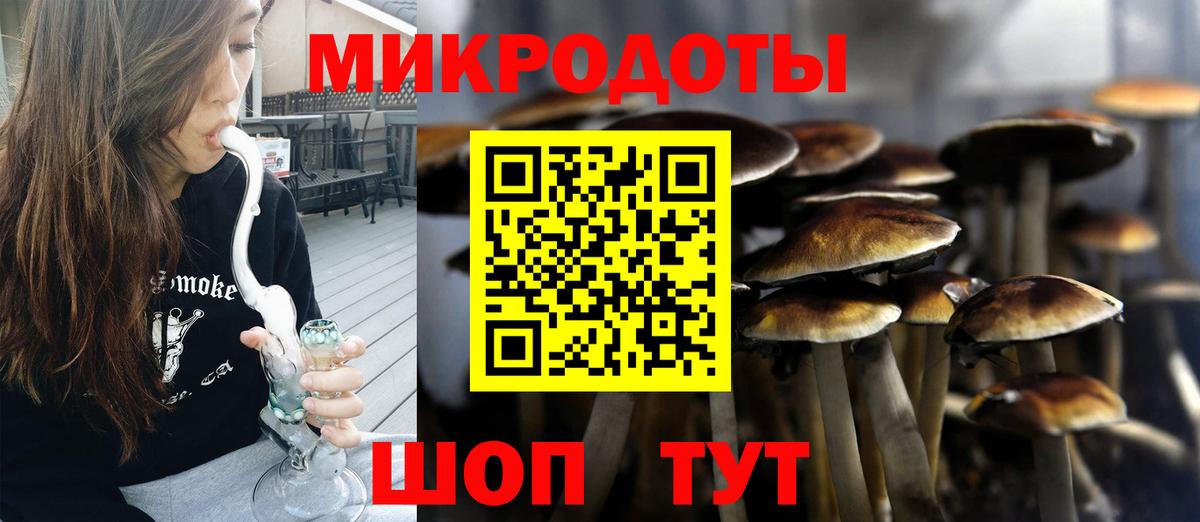 Галлюциногенные грибы Psilocybe  Галлюциногенные грибы MAGIC MUSHROOMS  Вход с VPN  Нефтеюганск 